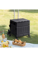 Breeins Collapsible Rolling Utility Crate