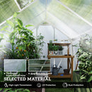 Outsunny Walk-In Polycarbonate Greenhouse Plant Grow Galvanied Aluminium