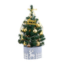 Lifeideas Mini Christmas Tree with Warm Lights