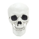 Halloween Realistic Skull and Bone Skeleton Decoration Kit