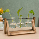 Lifeideas Modern 3pcs Bulb Glass Terrariums with Wood Stand Set