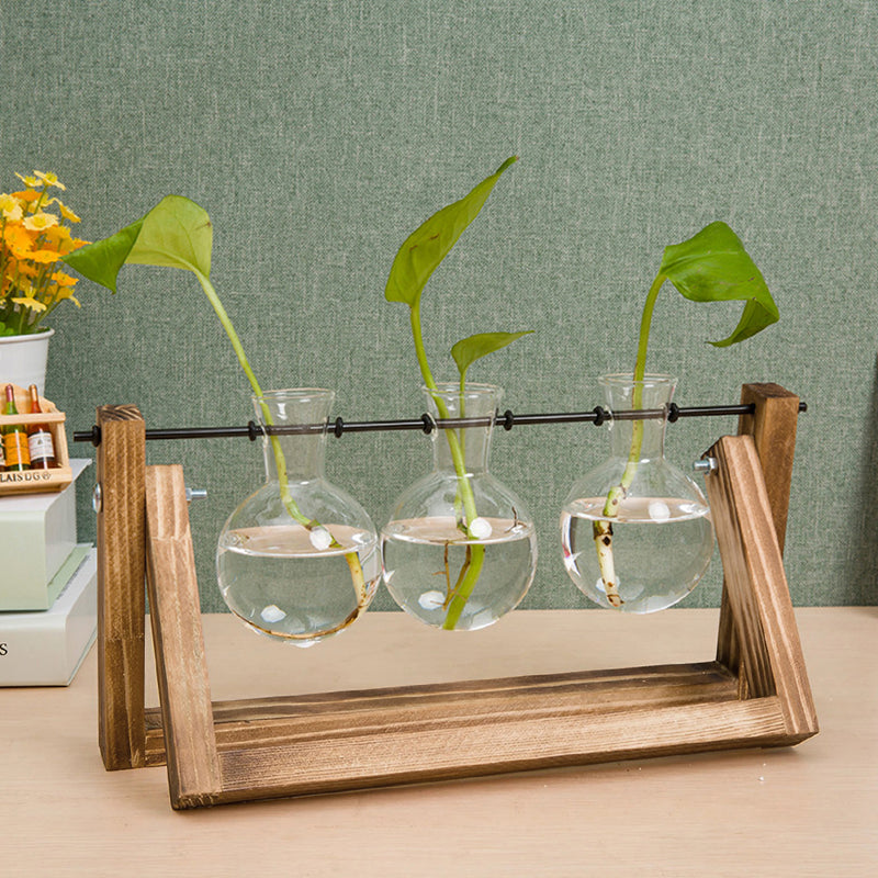 Lifeideas Modern 3pcs Bulb Glass Terrariums with Wood Stand Set
