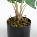 Lifeideas Realistic Turtle Shell Leaf Indoor Decoration