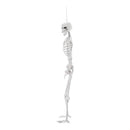Poseable Skeleton Props for Halloween Party Decoration