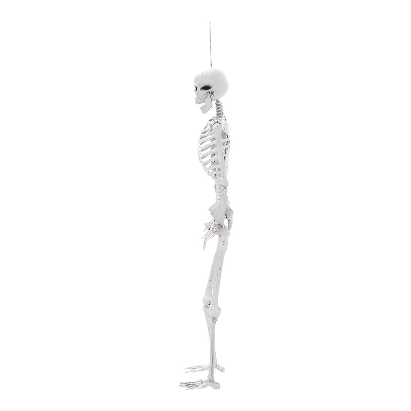Poseable Skeleton Props for Halloween Party Decoration