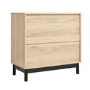 Livingandhome Stylish Natural Wood Cabinet