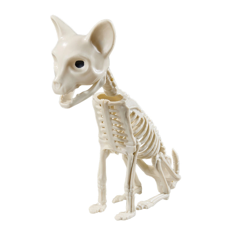 Spooky Halloween Cat Skeleton