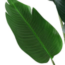 Lifeideas Tropical Plant Banana Artificial Tree in Pot
