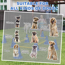 PawHut Dog Agility Equipment Set, Four-Piece Adjustable Height Jumping