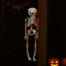 Realistic Posable Hanging Skeleton for Halloween