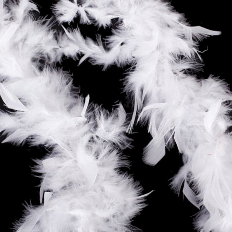 Lifeideas 2m White Feather Boa for Parties and Decorations