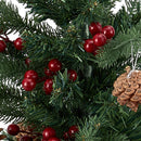 Lifeideas 2ft Small Christmas Tree with LED Lights