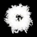 Lifeideas 2m White Feather Boa for Parties and Decorations