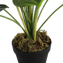 Breeins 75cm Artificial Potted Bird Of Paradise Palm Tree
