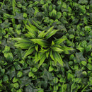 Lifeideas Decorative Privacy Green Wall Panel