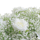 Lifeideas Silk White Rose Row for Decoration