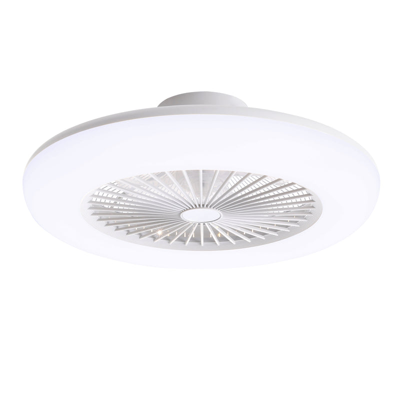Cottonfy UK Acrylic Ceiling Fan Light with Dimming