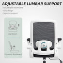 HOMCOM Mesh Desk Chair With Tilt Function, Lumbar Support