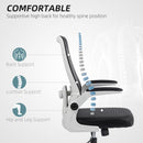 HOMCOM Mesh Desk Chair With Tilt Function, Lumbar Support
