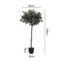 Breeins Artificial Olive Tree Decorative Plant In Planter