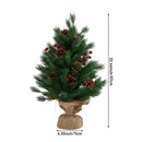 Lifeideas 2ft Small Christmas Tree with LED Lights
