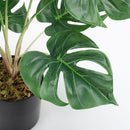Lifeideas Realistic Turtle Shell Leaf Indoor Decoration
