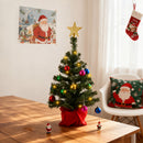 Lifeideas Tabletop Christmas Tree Decoration with LED String Light