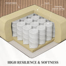 HOMCOM Power Lift Riser and Recliner Chair with Remote Control