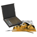 Metallic Mixed Media Set In Fc Box