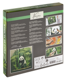 Paint By Number 20X20Cm Panda-25 Paints/4 Brushes