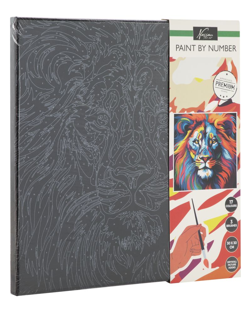 Paint By Numbers Black Canvas