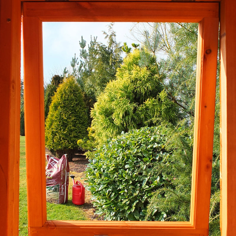 Arran 6 X 6 Shiplap Apex Shed