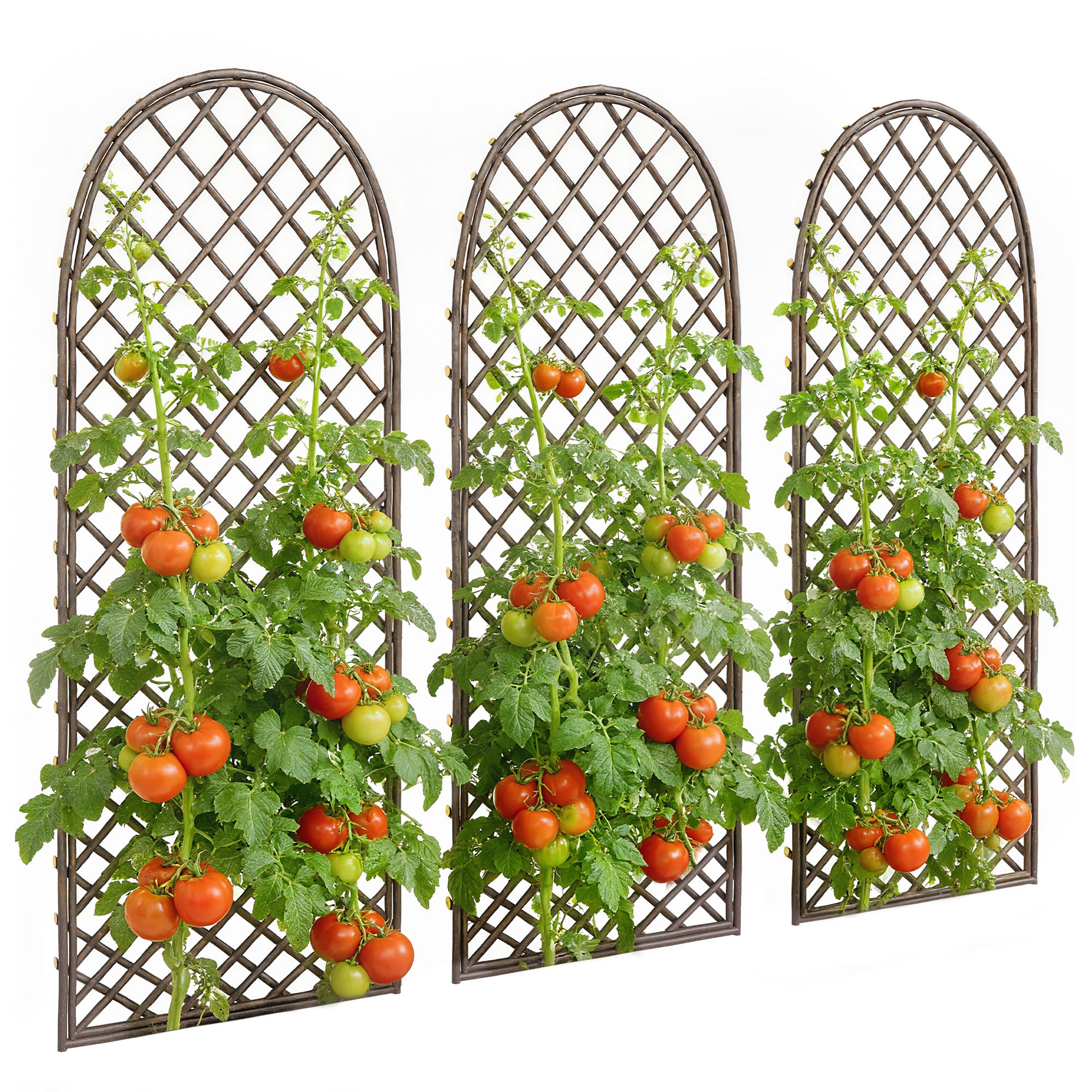 Outsunny Garden Arch, Wicker Trellis Support Frame With Dome Top, Natu