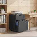 HOMCOM 2 Drawer Filing Cabinet with Adjustable Hanging Bars for A4 and Letter