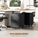 HOMCOM 2 Drawer Filing Cabinet with Adjustable Hanging Bars for A4 and Letter