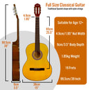 3rd Avenue Full Size Classical Guitar Pack