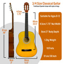 3rd Avenue 3/4 Size Classical Guitar Pack