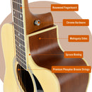 3rd Avenue MX Cutaway Acoustic Guitar Pack - Natural