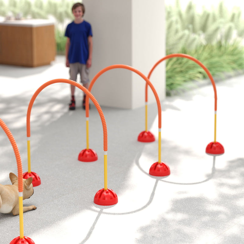 PawHut 4 Piece Dog Agility Training Equipment with Carry Bag, Orange