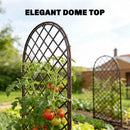 Outsunny Garden Arch, Wicker Trellis Support Frame With Dome Top, Natural