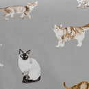 Fusion Cats Duvet Cover Set in Grey