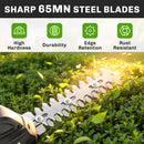 Outsunny 2-in-1 Cordless Hedge Trimmer & Grass Shear with 2000mAh Batteries