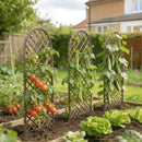 Outsunny Garden Arch, Wicker Trellis Support Frame With Dome Top, Natural