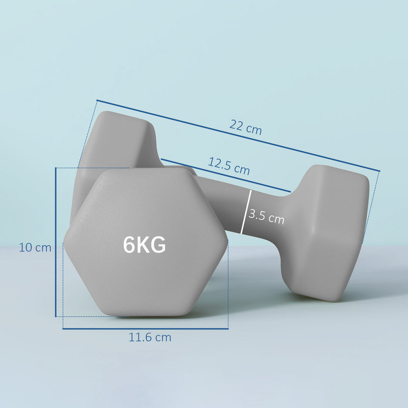 SPORTNOW Set of 2 Hexagonal Dumbbells Weights Pair, 2 x 6kg, Grey