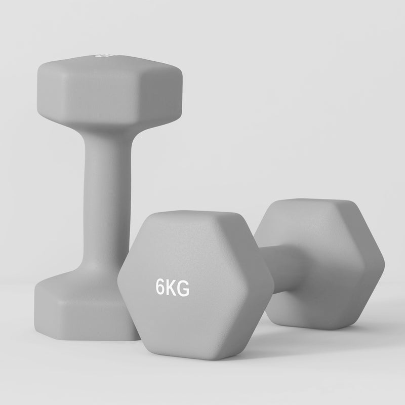 SPORTNOW Set of 2 Hexagonal Dumbbells Weights Pair, 2 x 6kg, Grey