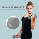 SPORTNOW Set of 2 Hexagonal Dumbbells Weights Pair, 2 x 6kg, Grey