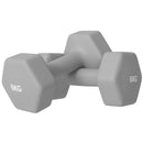 SPORTNOW Set of 2 Hexagonal Dumbbells Weights Pair, 2 x 6kg, Grey