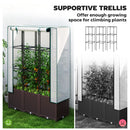 Outsunny Plastic Vegetable Planter with Trellis, 120 x 40 x 140 cm