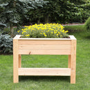 Dan Larch Planter