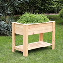 Dan Larch Planter